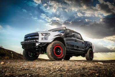 Truck Suspension - Ford 4WD - F-150 15-20