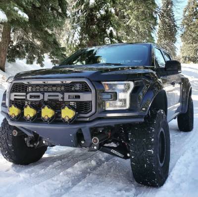 Baja Kits - Performance UCA and LCA | 2017-2020 Ford F-150 Raptor - Image 9